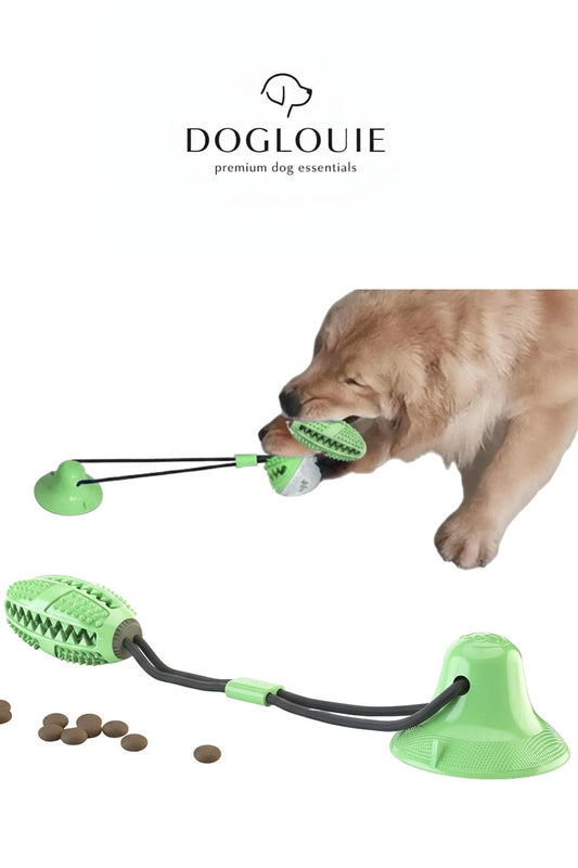 DogLouie®️ Tug & Treat™