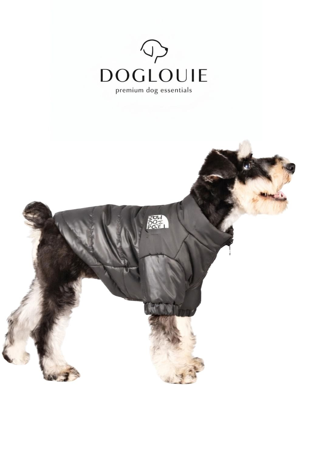 DogLouie®️ WarmDog Winterjacke