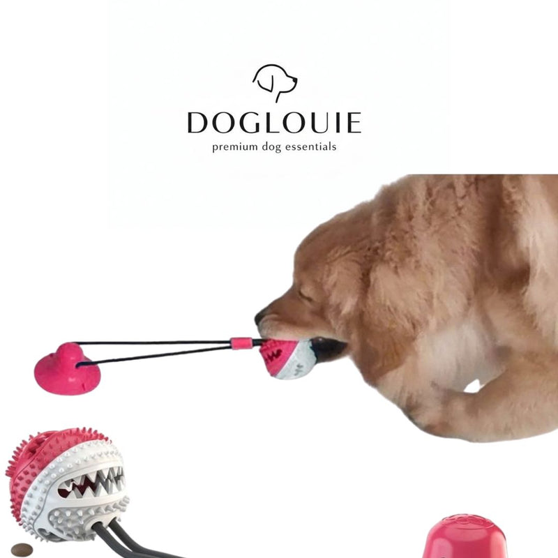 <h1>DogLouie®️ Tug & Treat™</h1>
