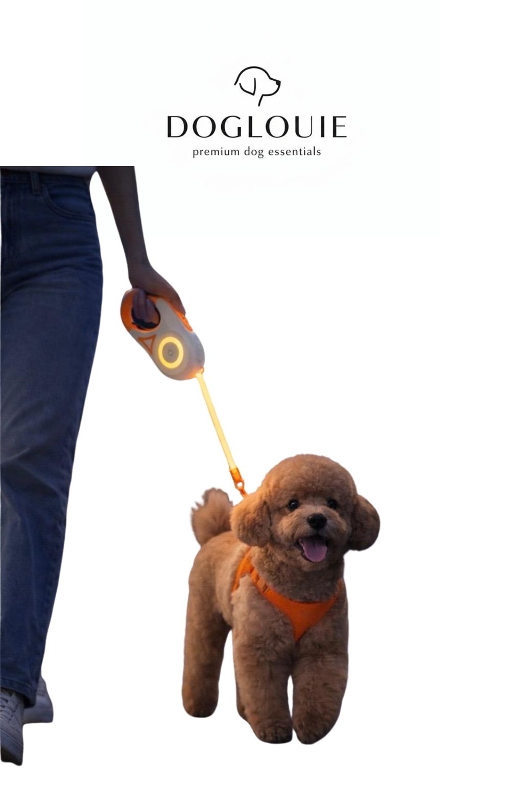 DogLouie®️ GlowLeash Pro