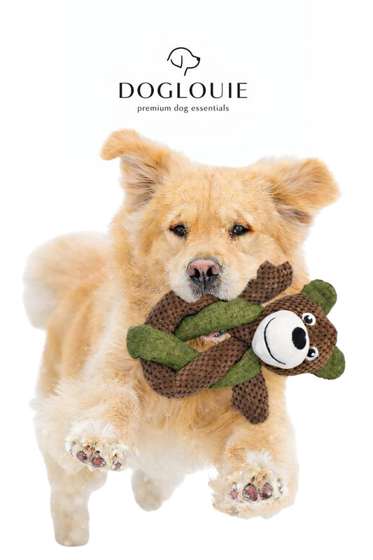 DogLouie®️ CuddleBuddy Hundespielzeug