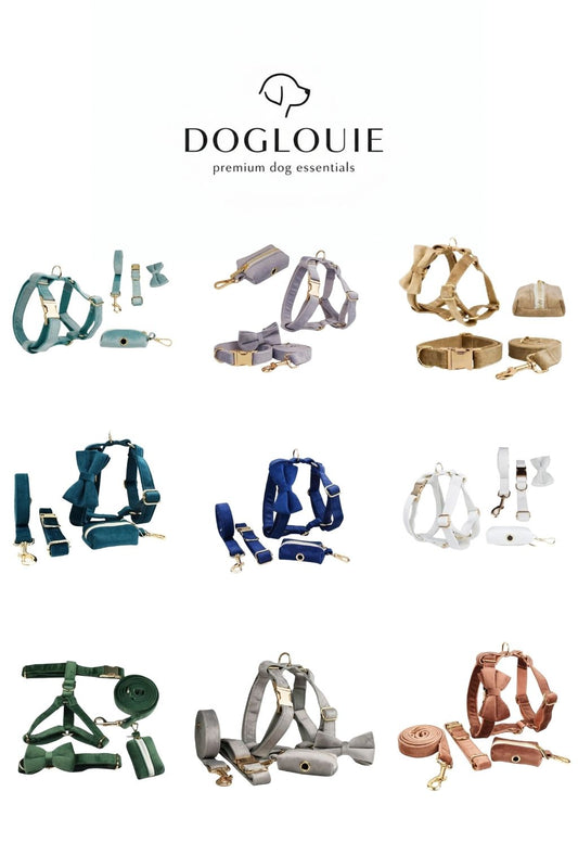 DogLouie®️ Elegance Walk Set – 5-teilig